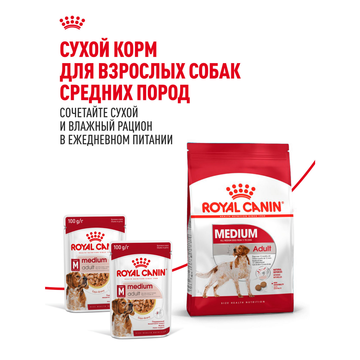 Корм для собак ROYAL CANIN Medium Adult консервированный полнорационный для взрослых собак средних размеров - фото 11
