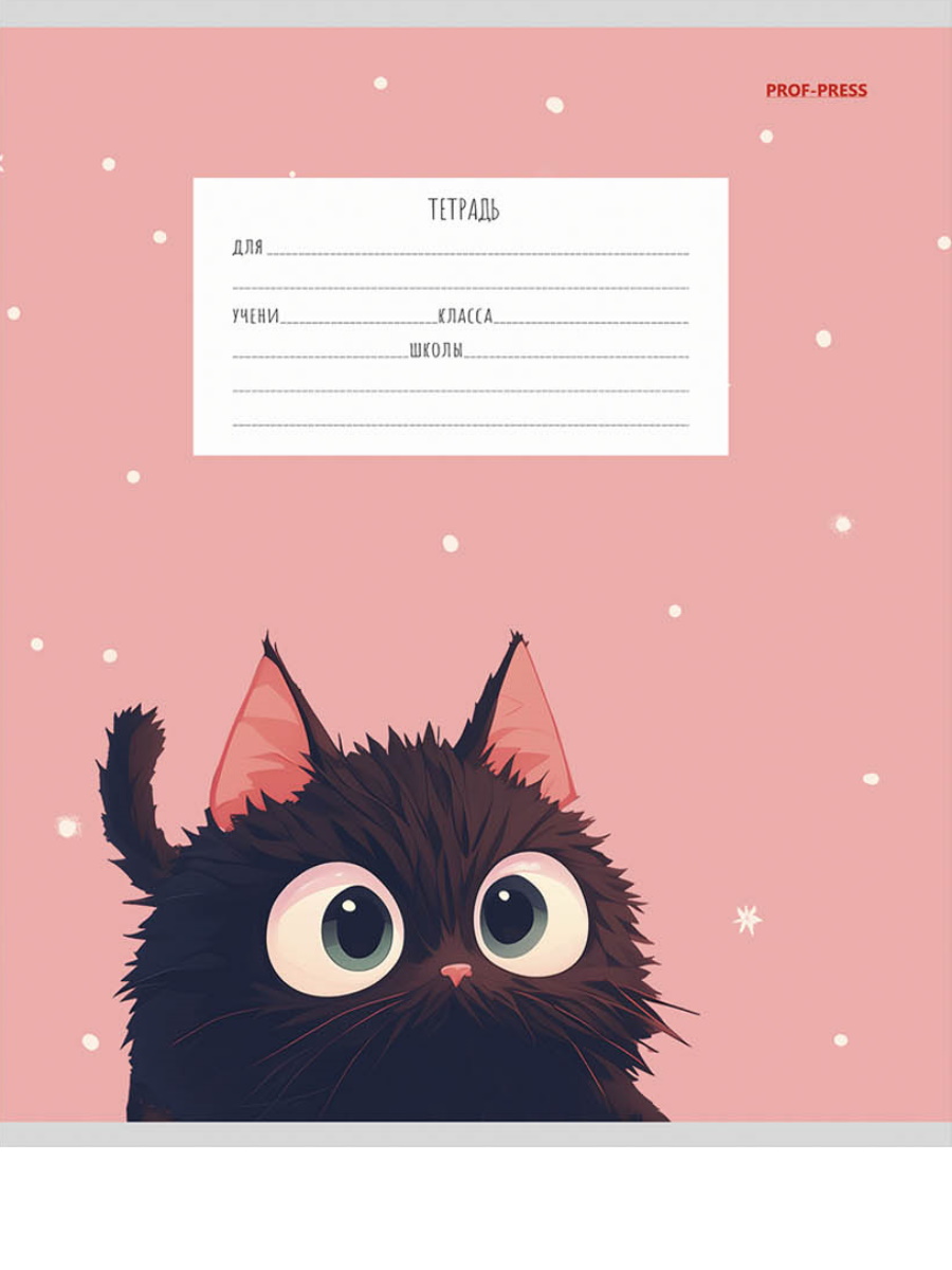Тетрадь Prof-Press клетка 12 лист. 20 шт. - фото 6