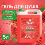 Гель SEPTIVIT Арбузный лимонад 5000 мл