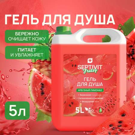 Гель SEPTIVIT Арбузный лимонад 5000 мл