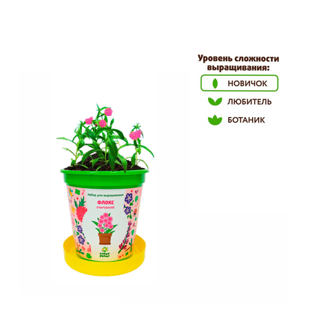 Набор для выращивания Happy Plant
