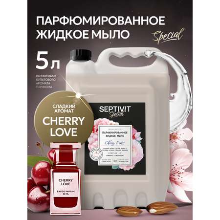 Мыло жидкое SEPTIVIT Cherry Love 5200 г 5000 мл
