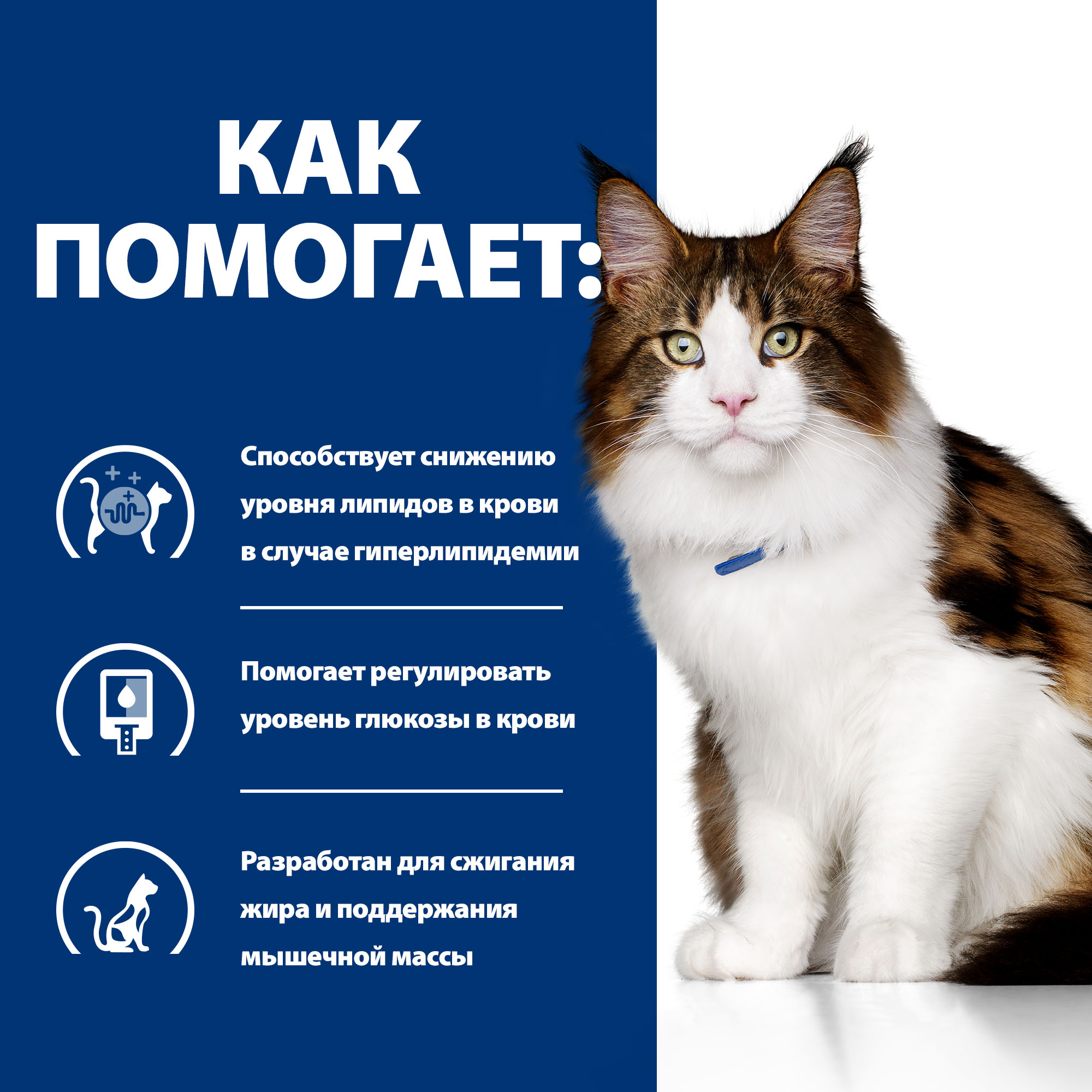 Корм для кошек Hills 85г Prescription Diet w/d диетический при поддержании веса и сахарном диабете с курицей - фото 4