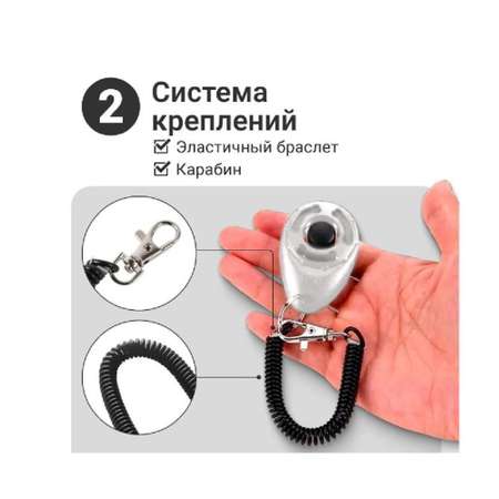 Игрушка для собак ZDK ZooWell Кликер на браслете белый