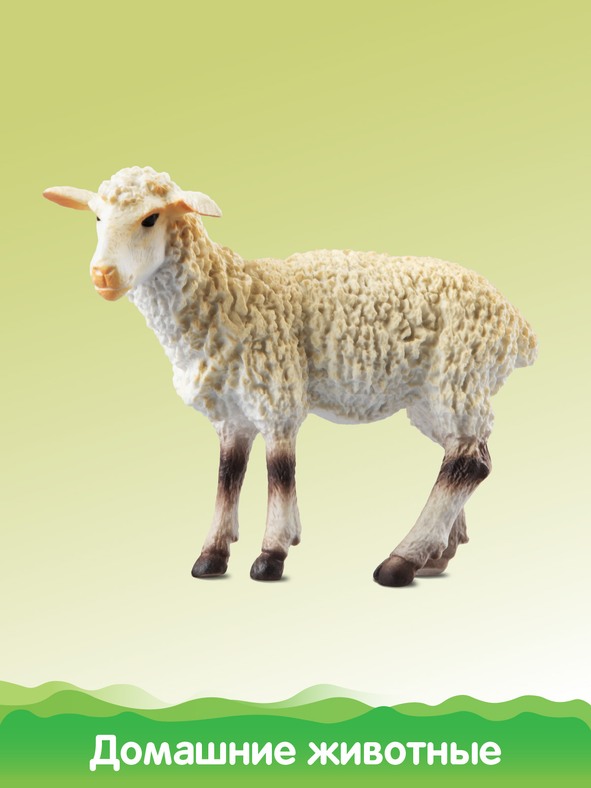 Игровой набор DARWIN Домашние животные 6шт - фото 10