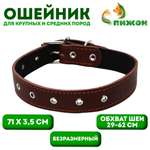 Ошейник Пижон кожаный на синтепоне безразмерный 71 х 3.5 см коричневый