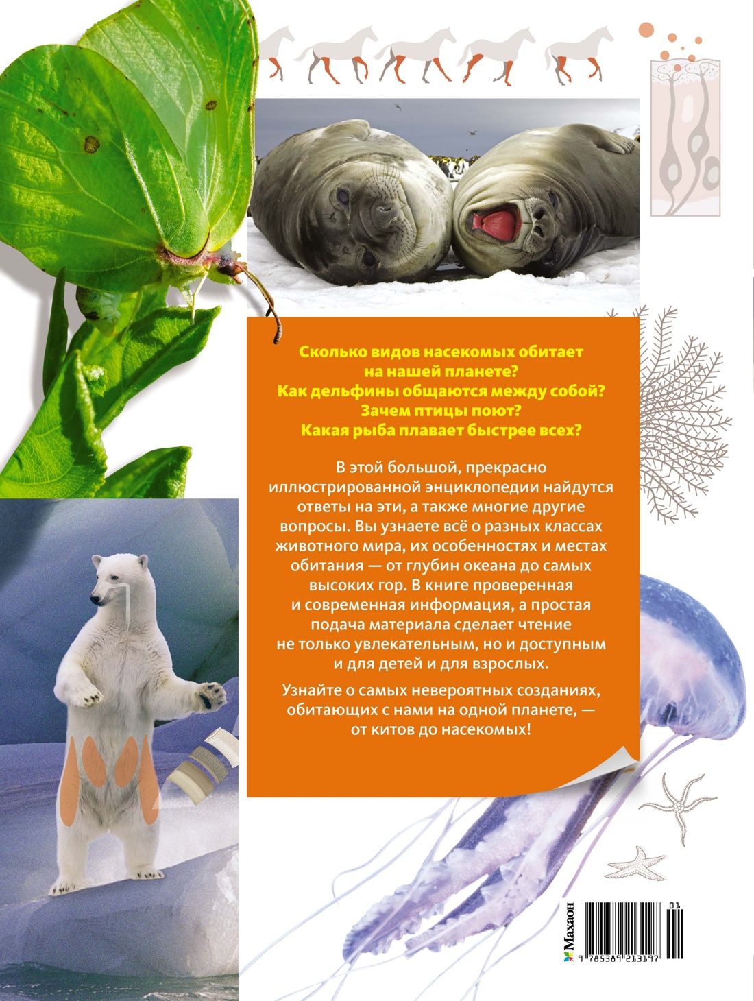 Книга Махаон Бертонатти К. Перейра Х. А. Тайны животных - фото 4