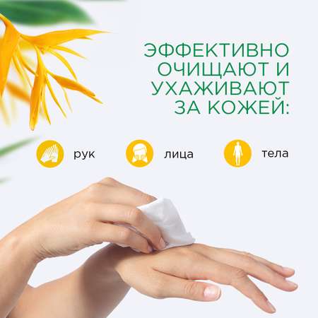 Влажные салфетки Paterra антибактериальные