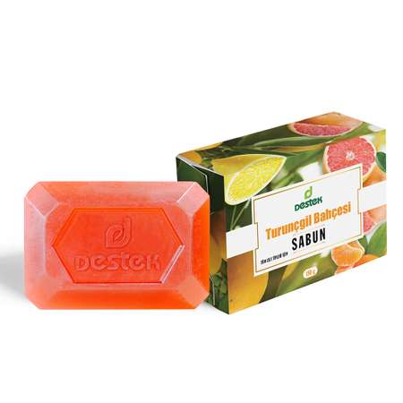 Мыло DESTEK