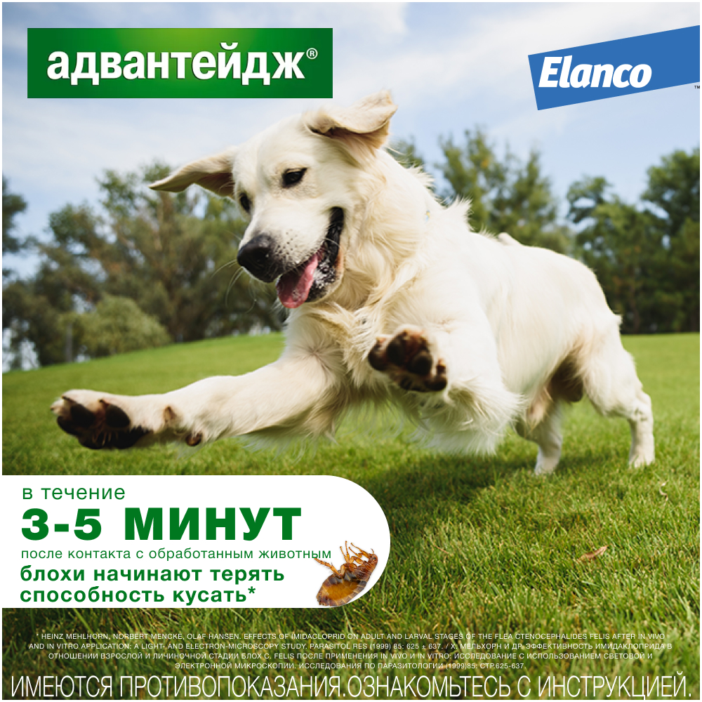 Капли для собак Elanco Адвантейдж против блох 4 пипетки - фото 4