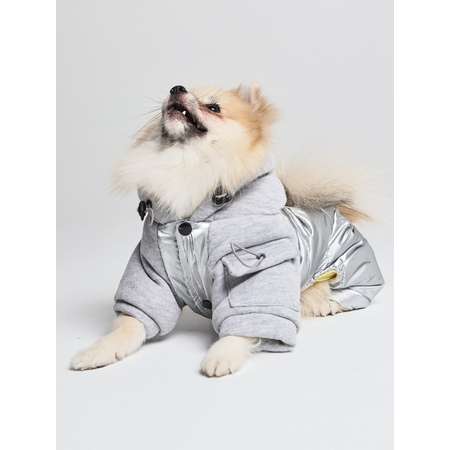 Комбинезон для собак PIFPAF DOG