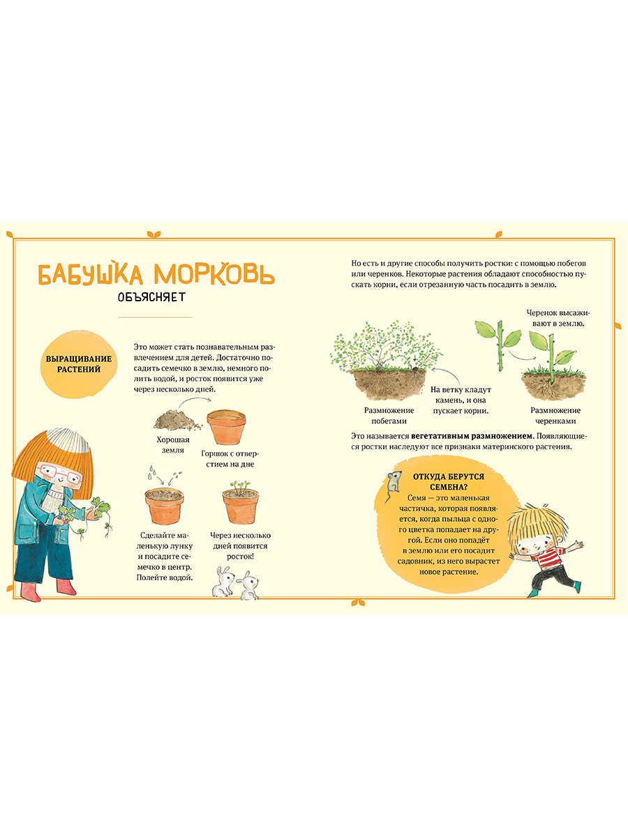 Книга Альпина. Дети В саду Базилика Как появляются новые растения - фото 17