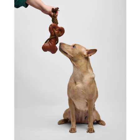 Игрушка для собак Barbaks Кость-тянучка из кожи с канатиком 35*15см