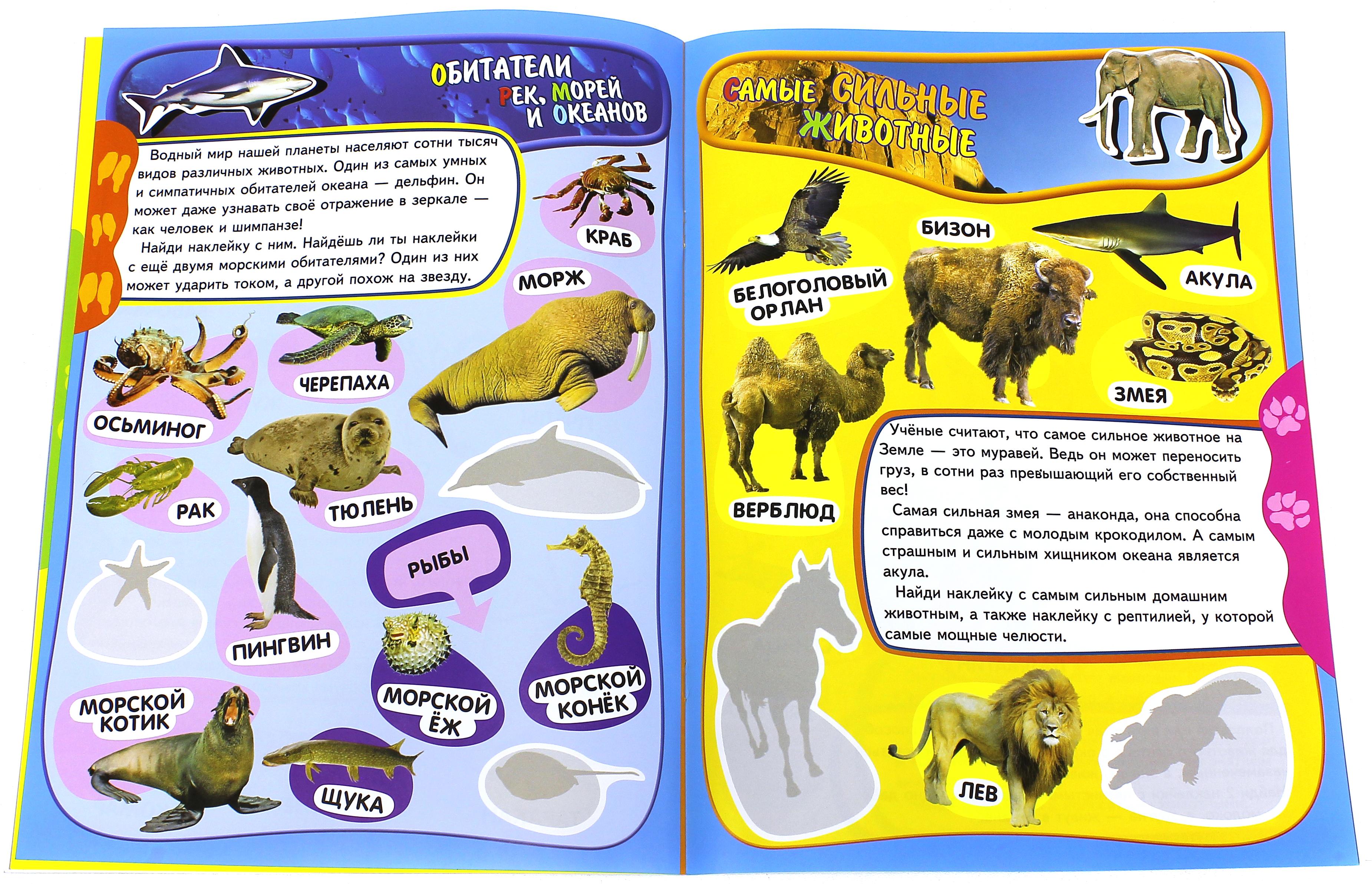 Книга Лабиринт Учись играя 5-7 лет Животные - фото 6