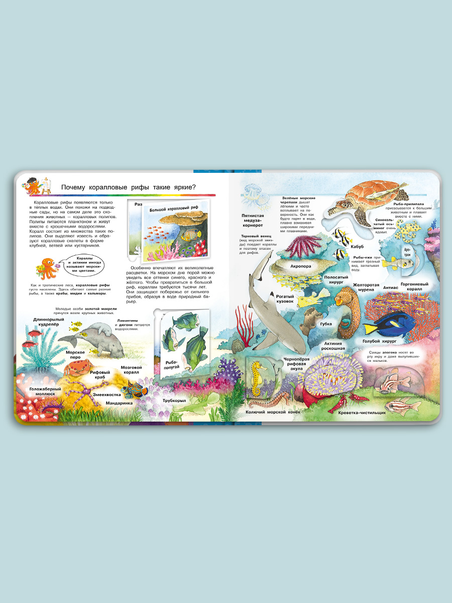 Книга Омега-Пресс Энциклопедия для детей с окошками Мир морских животных - фото 4