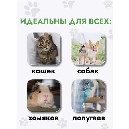 Пеленки для животных одноразовые 60х60 L CASTLELADY 40 шт супервитывающие