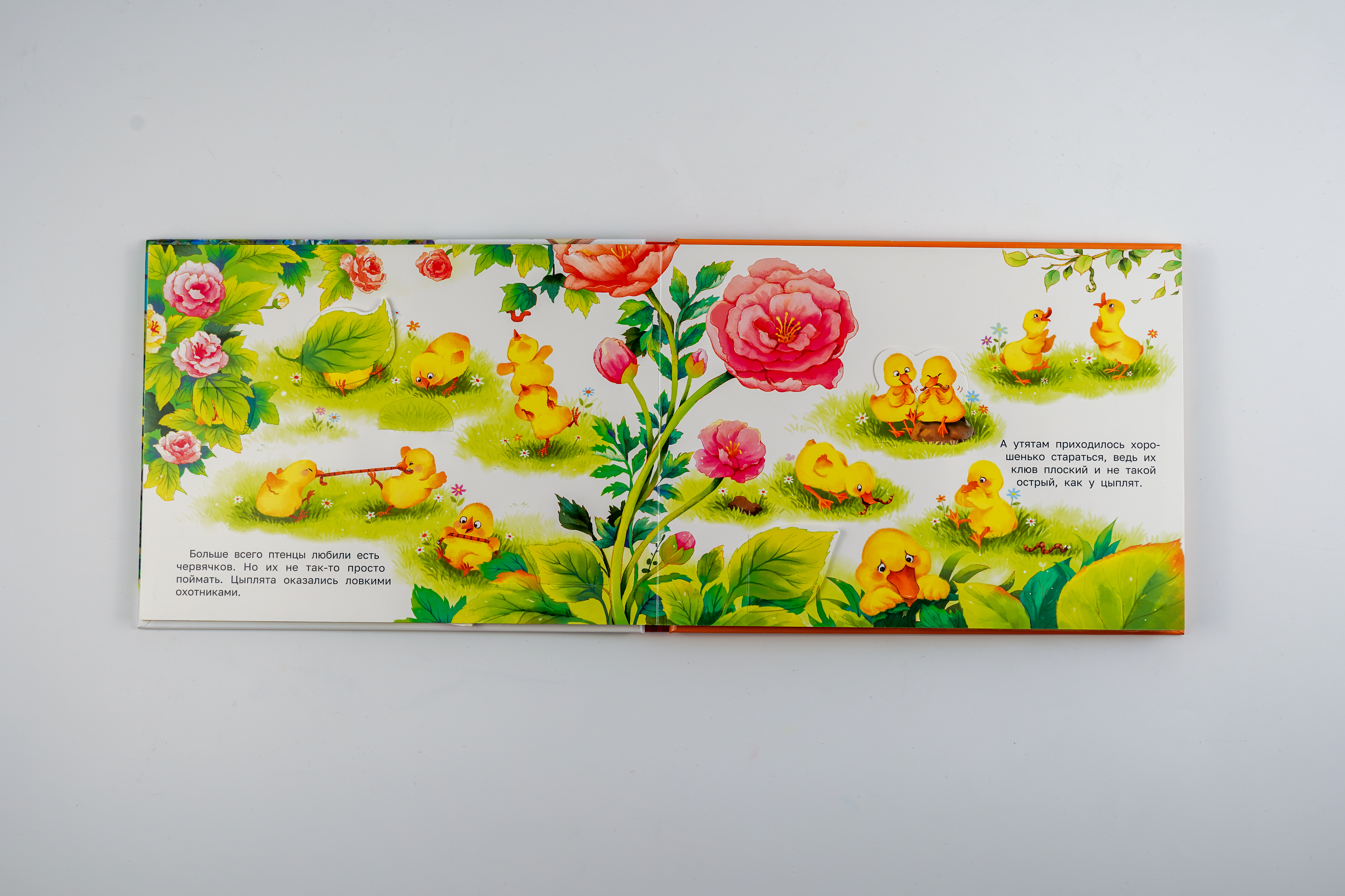 Книга АСТ Приключения на ферме - фото 5