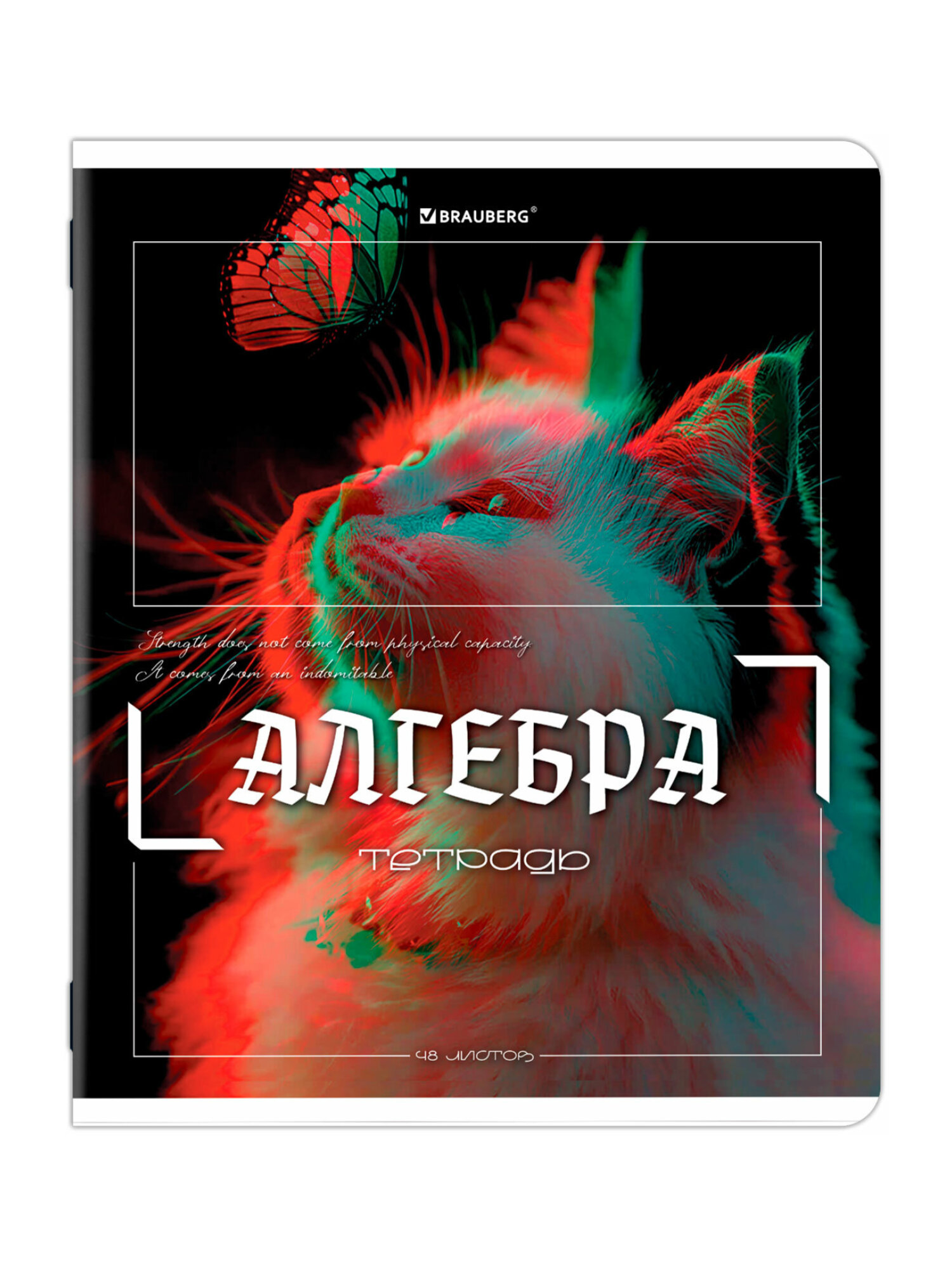 Тетрадь Brauberg 48 лист. 12 шт. - фото 12