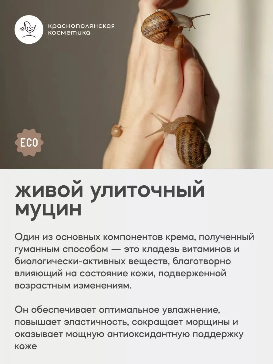 SNAILLAB Тоник для лица и крем для лица увлажняющий, набор уходовой косметики, mix №1 - фото 8