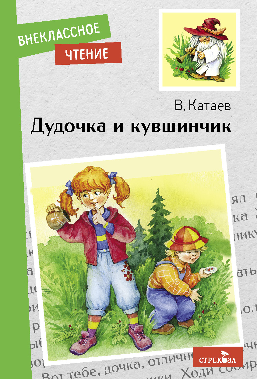 Книга СТРЕКОЗА Внеклассное чтение - фото 1