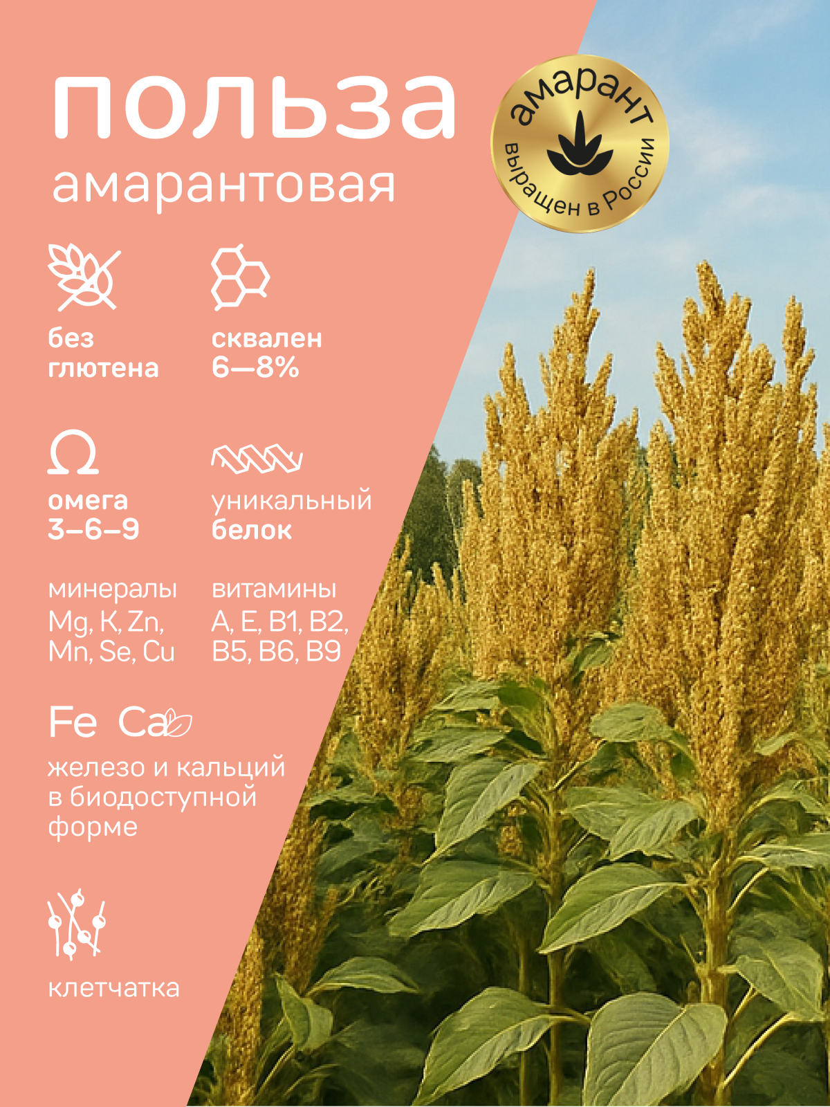 Хлебцы Amarancho рисово-амарантовые - фото 2