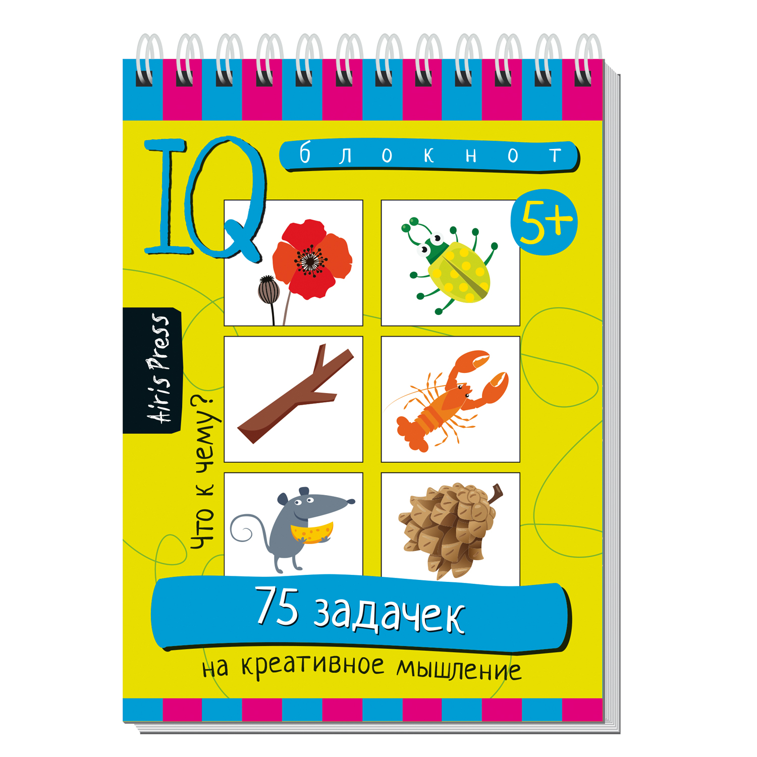 Умный блокнот АЙРИС-пресс 75 задачек на креативное мышление 5+ - фото 1