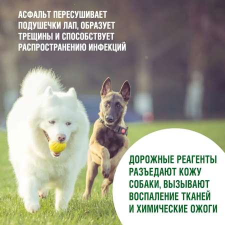 Шампунь для собак ECOZAVR с пантенолом 500мл