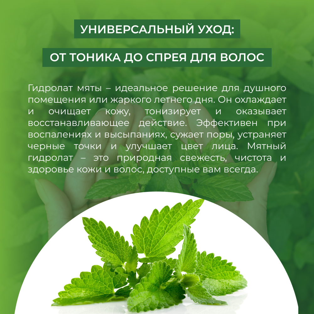 Гидролат Siberina 50 мл - фото 5