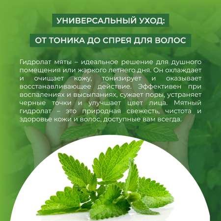 Гидролат Siberina 50 мл