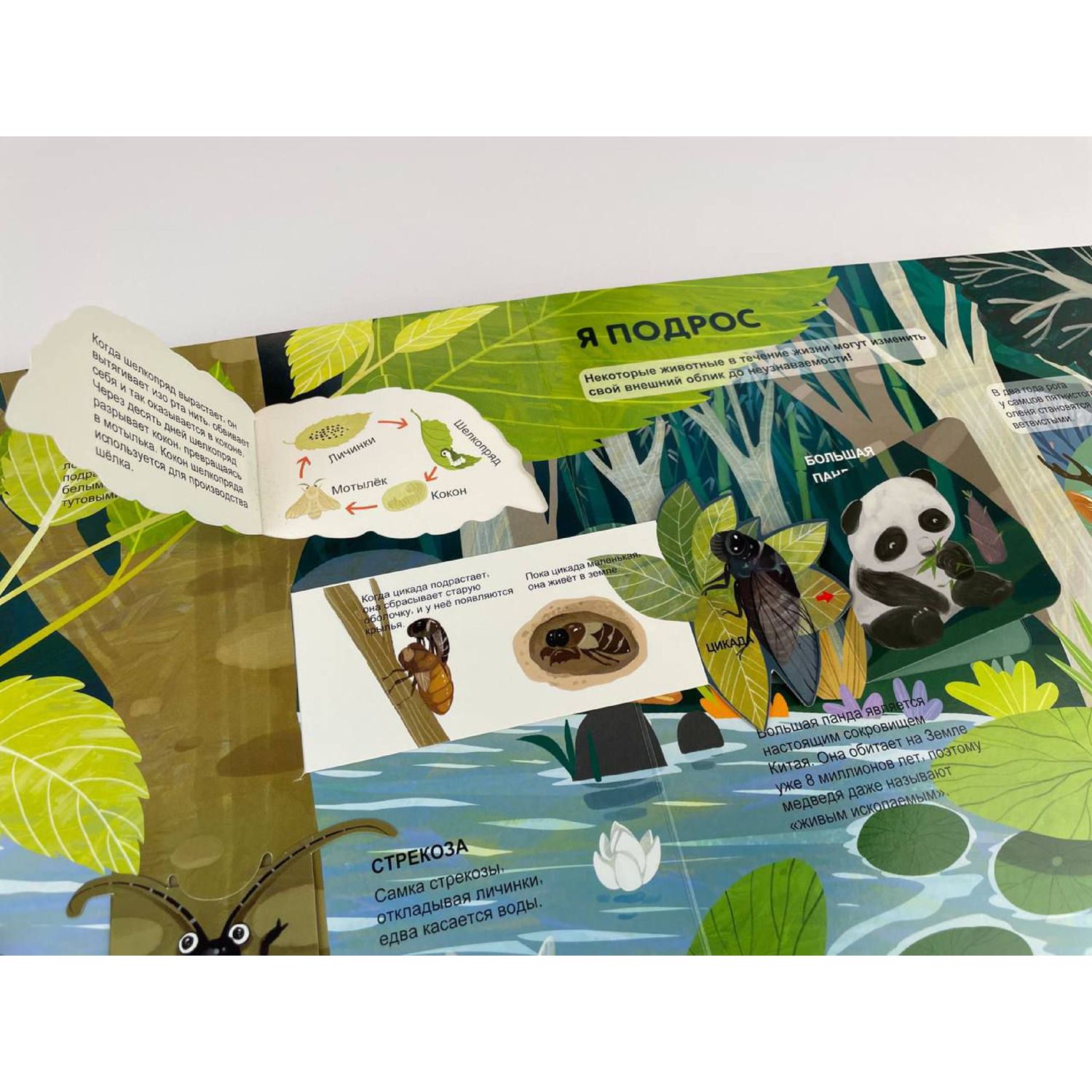 Книга Эксмо Удивительные животные Большая 3D энциклопедия - фото 6