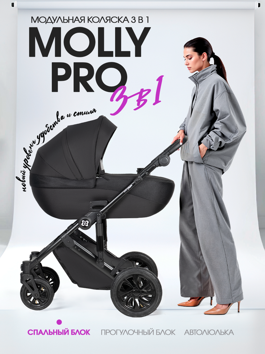 Коляска 3в1 Farfello Molly Pro черный - фото 1