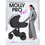 Коляска 3в1 Farfello Molly Pro черный