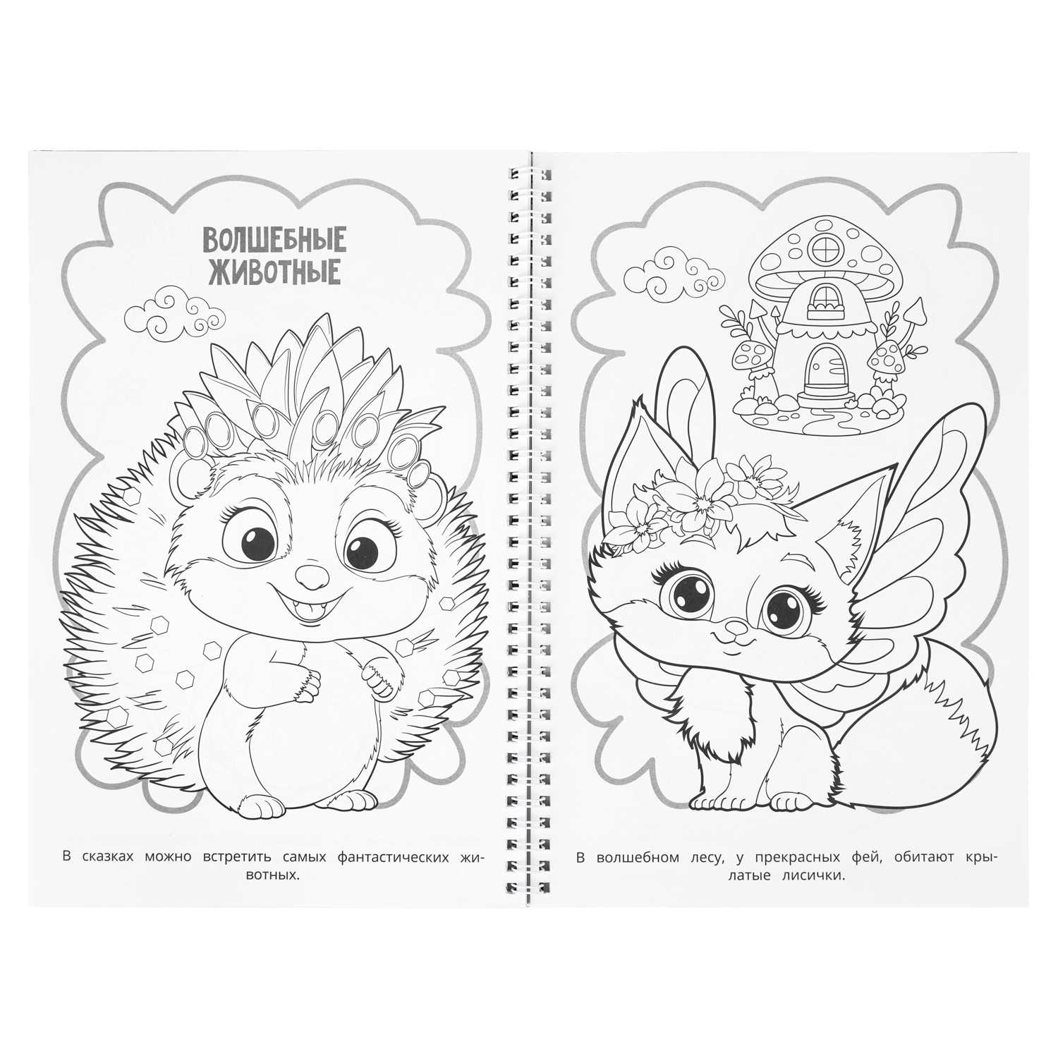 Раскраска УМка Удивительные животные 100 картинок - фото 5