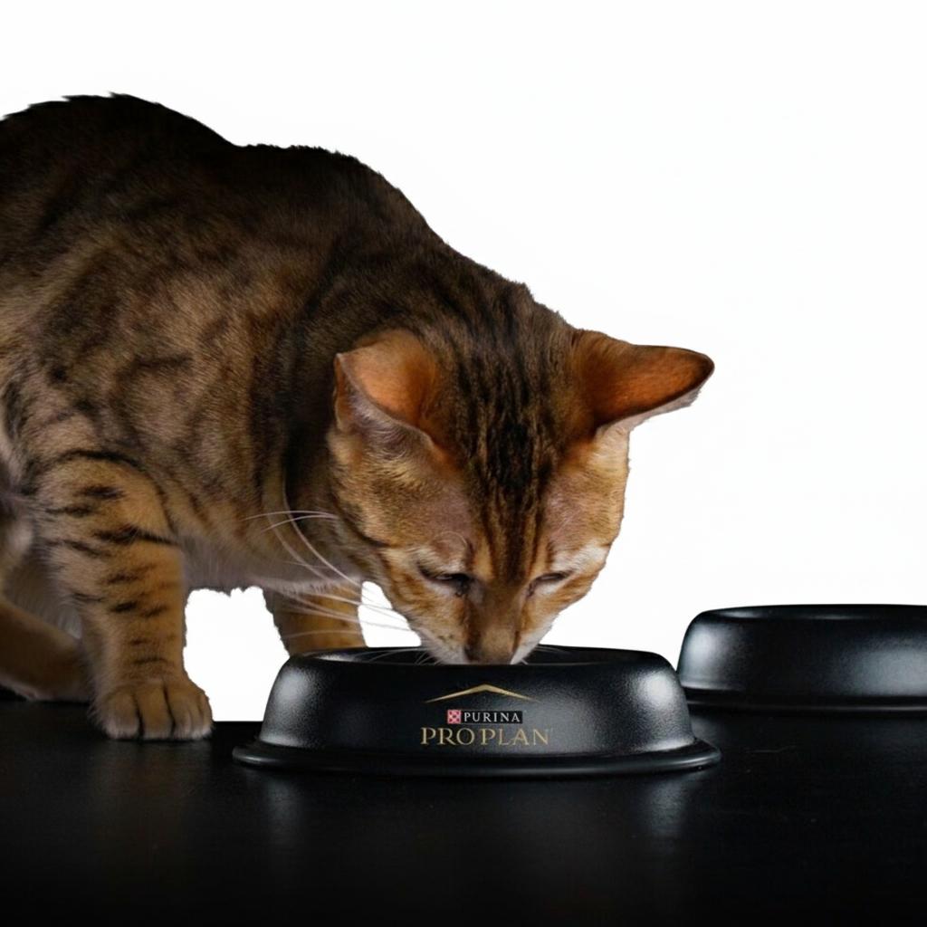 Корм сухой PRO PLAN OptiSavour Sterilised - фото 9