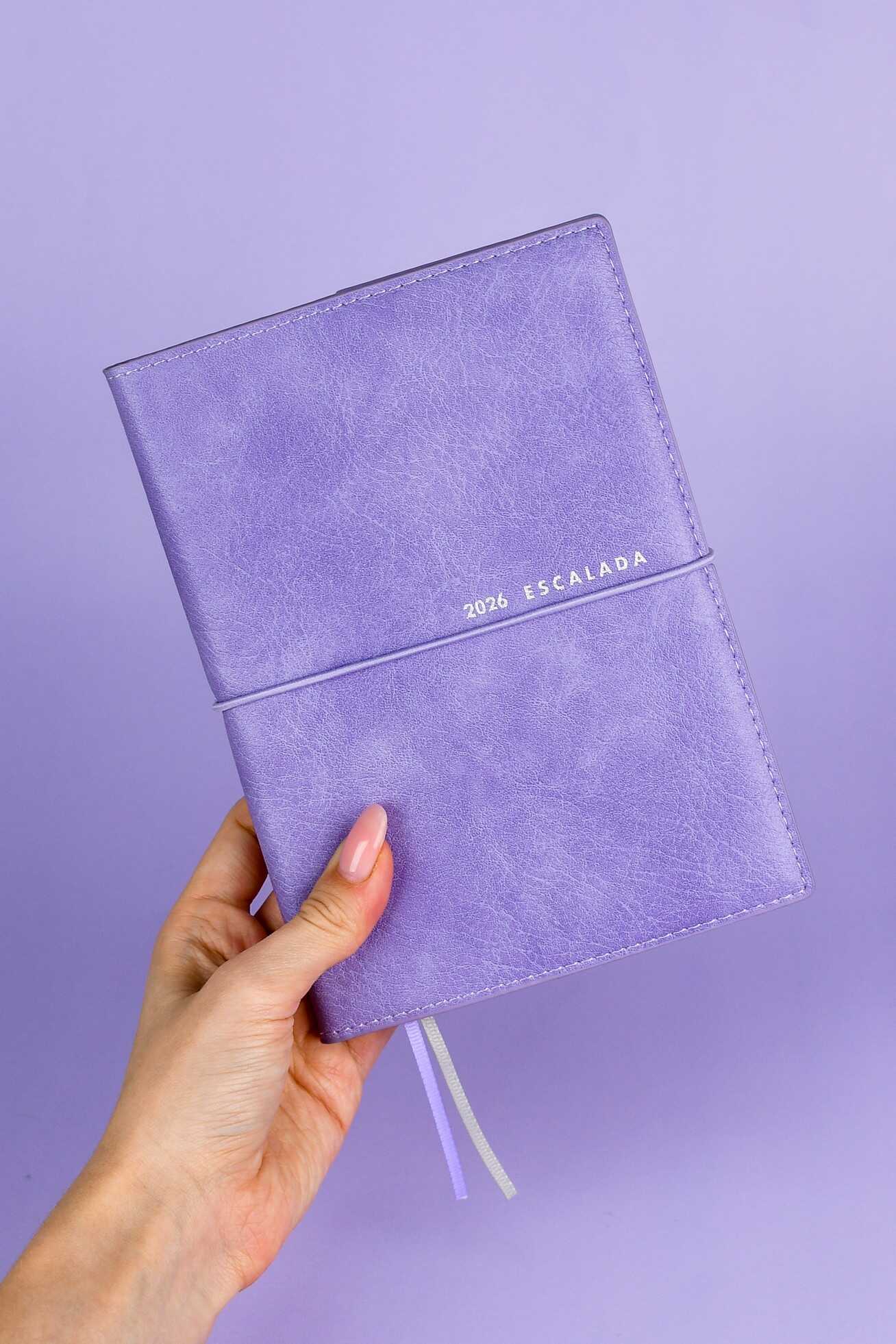 Ежедневник Феникс + ESCALADA 128 лист. - фото 3