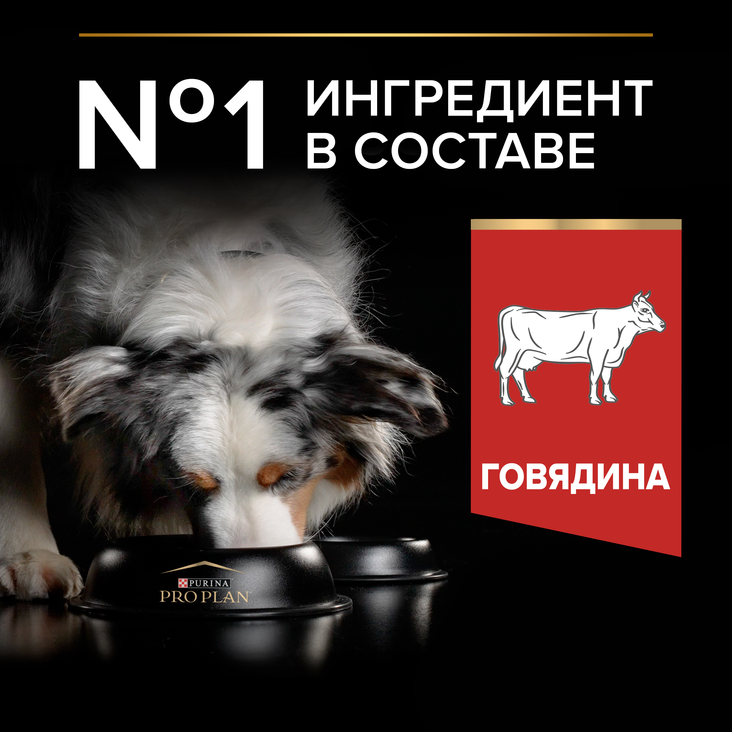 Корм сухой для собак PRO PLAN DUO DELICE 10 кг с говядиной для средних и крупных пород - фото 4