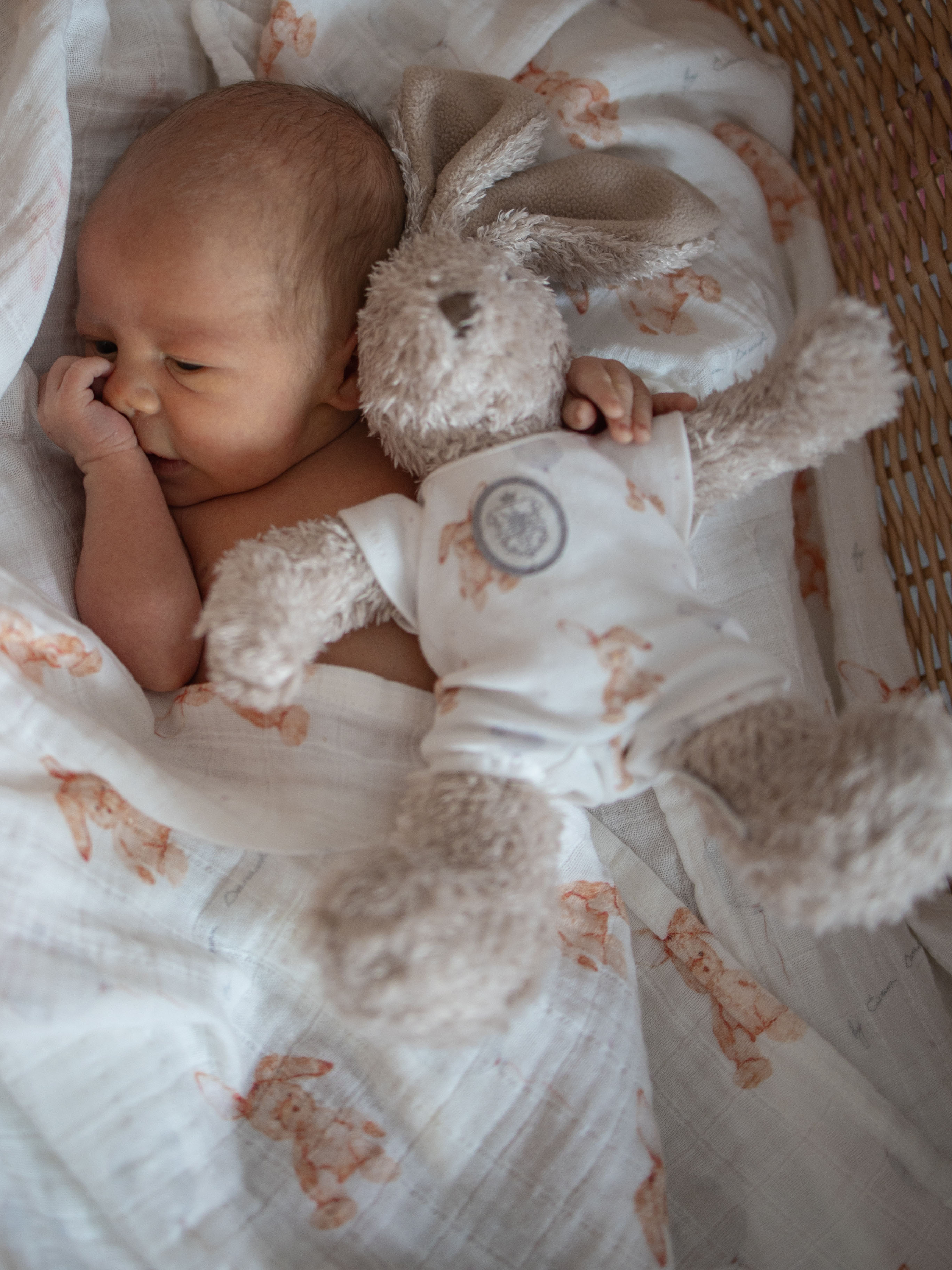 Пелёнка НаследникЪ Выжанова Набор муслиновых пеленок муслин 120х120 см 2 шт. - фото 5