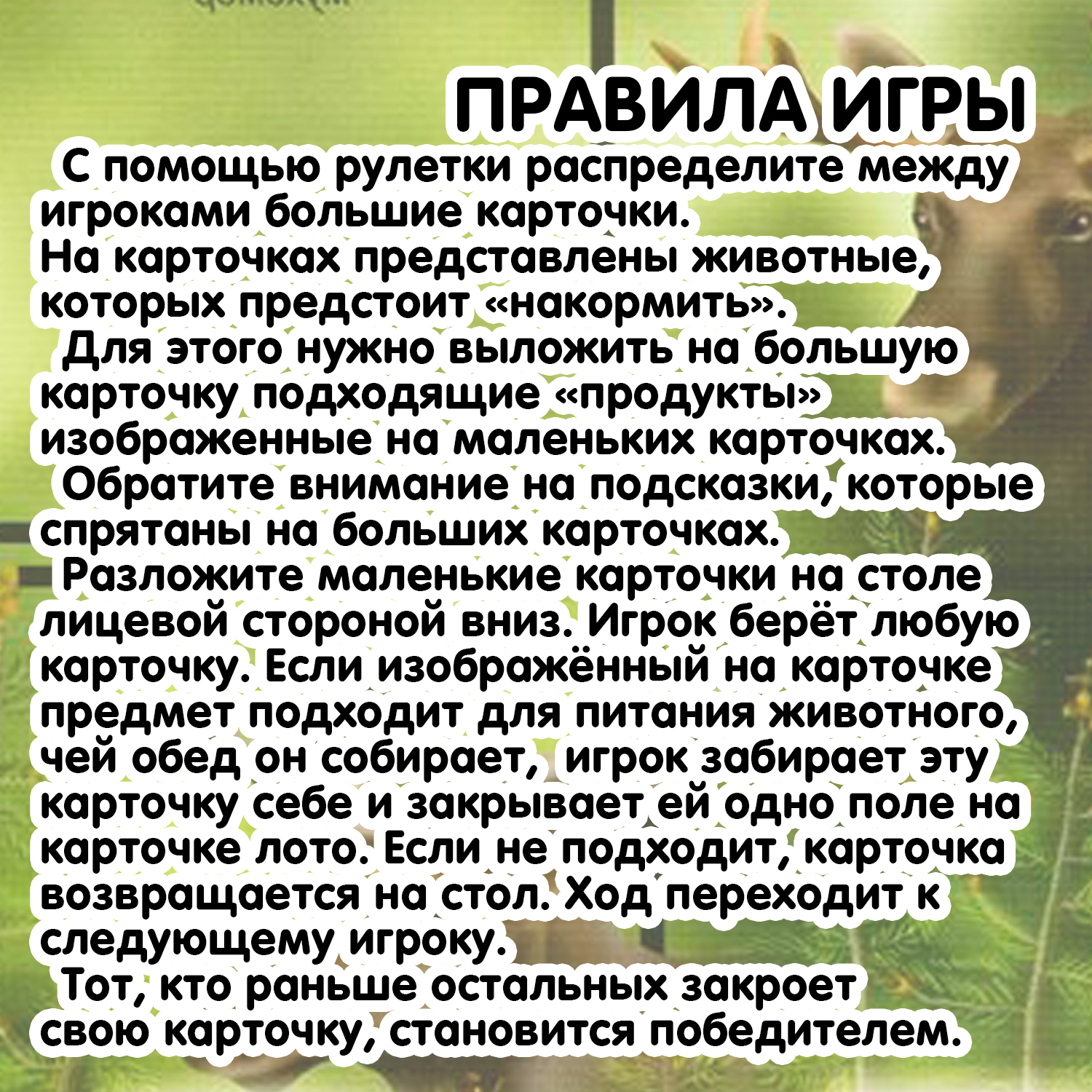 Настольная игра Bondibon лото Что сегодня на обед? - фото 12