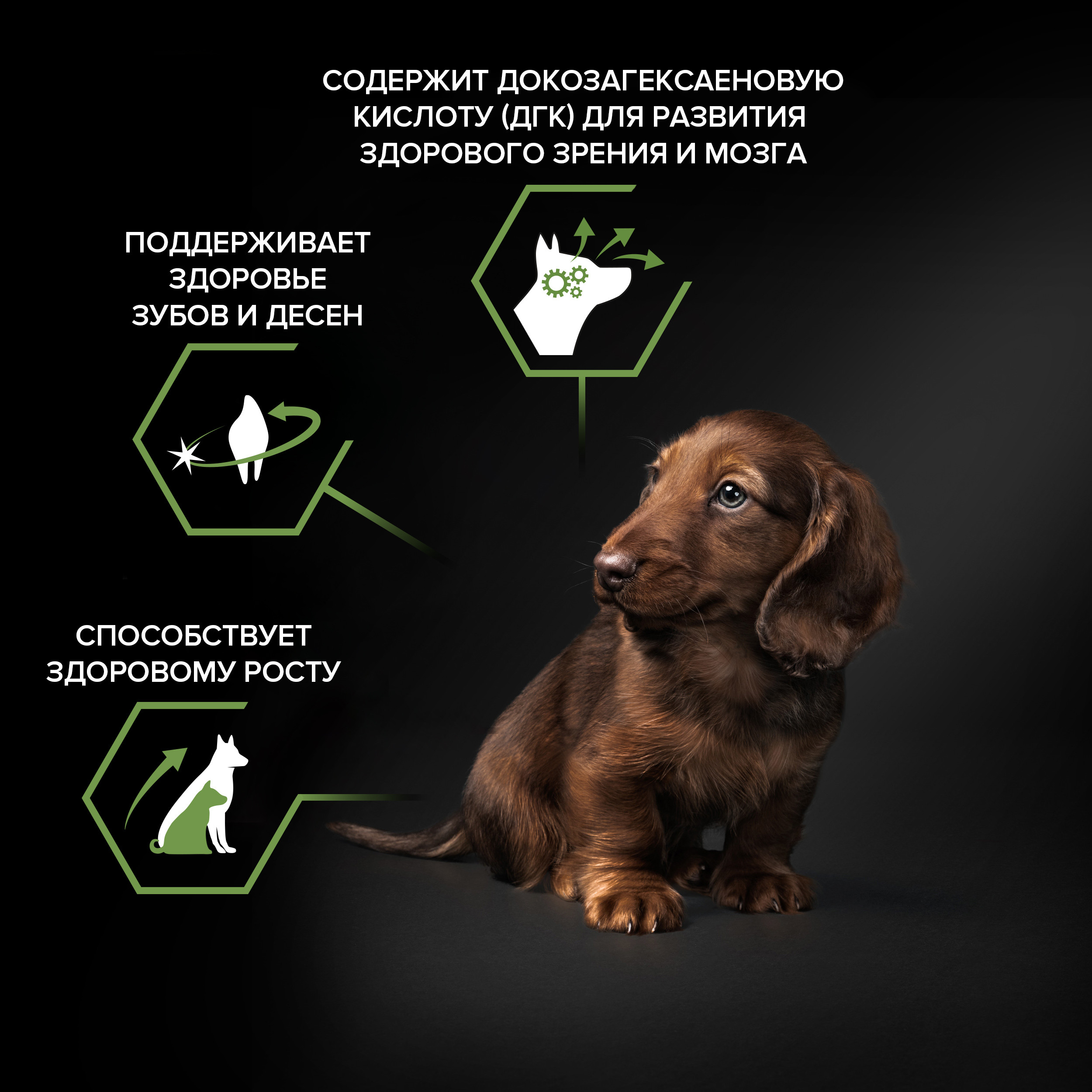 Корм для щенков PRO PLAN мелких и карликовых пород с комплексом Optistart курица с рисом 700г - фото 5