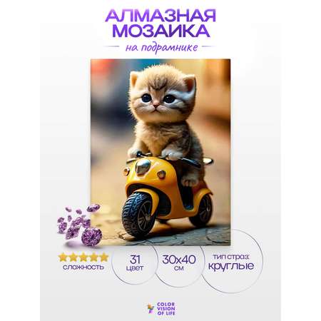 Алмазная мозаика Color Vision Of Life