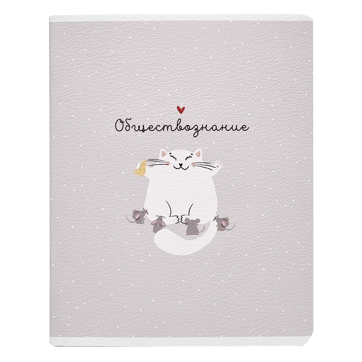 Тетрадь Be Smart 48 лист. 12 шт. - фото 5