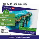 Альбом Brauberg А4 40 лист.