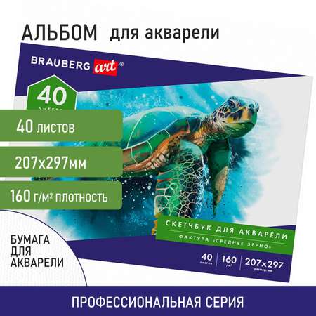 Альбом Brauberg А4 40 лист.