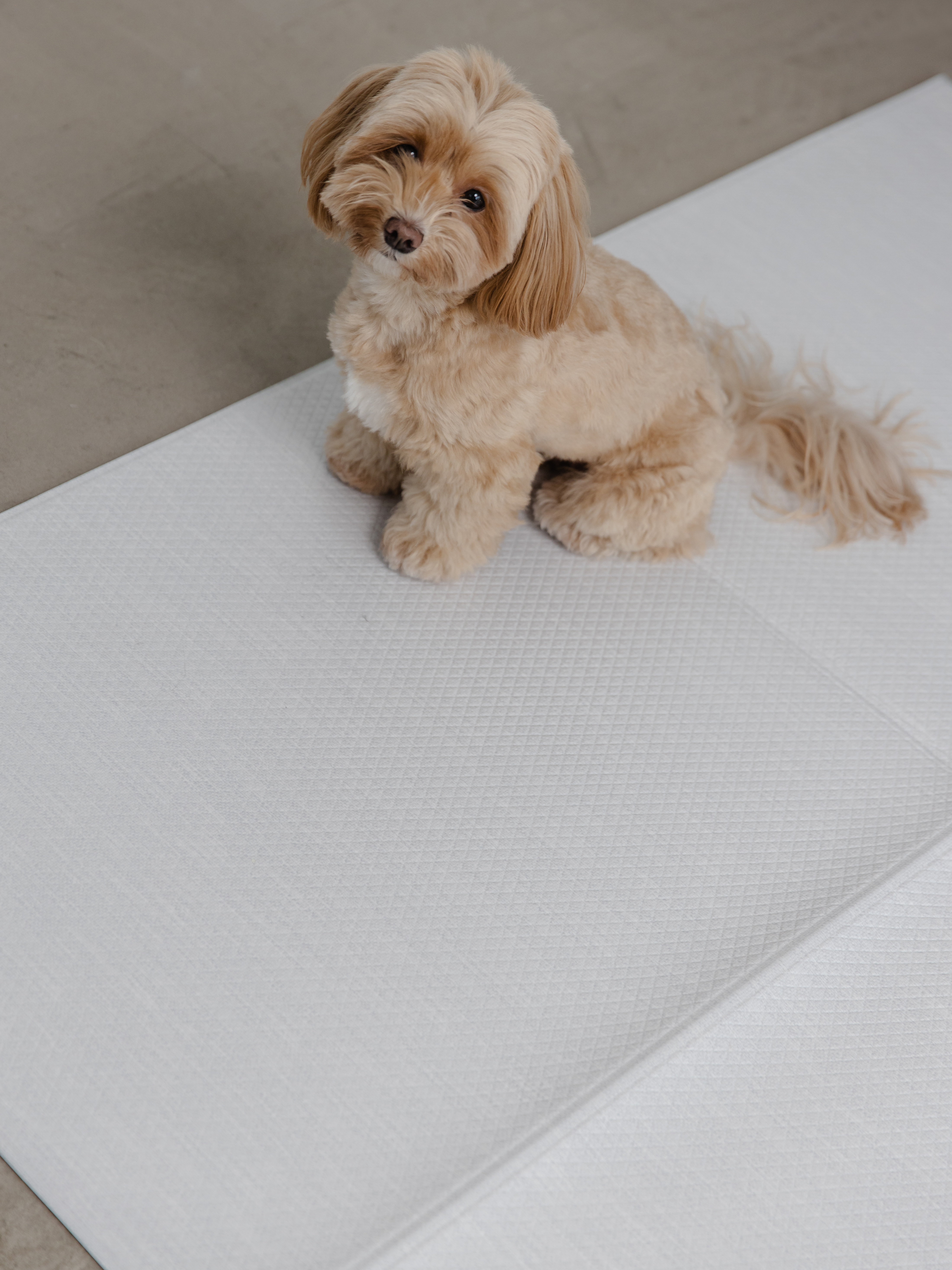 Нескользящий моющийся коврик под миску Dfang Кремовый шик 120х70х0.7 см - фото 7