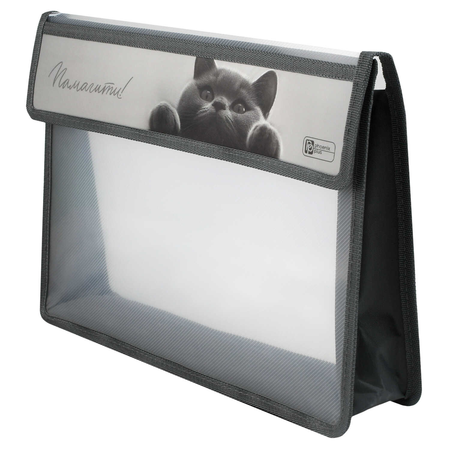 Папка для тетрадей Феникс + Кот А4 - фото 1