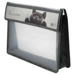 Папка для тетрадей Феникс + Кот А4