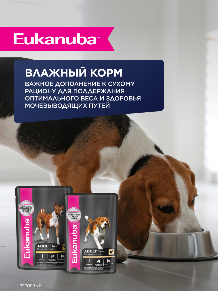 Корм для собак Eukanuba с ягненком сухой 3кг - фото 7