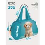 Спортивная сумка Cartera Детская плечевая