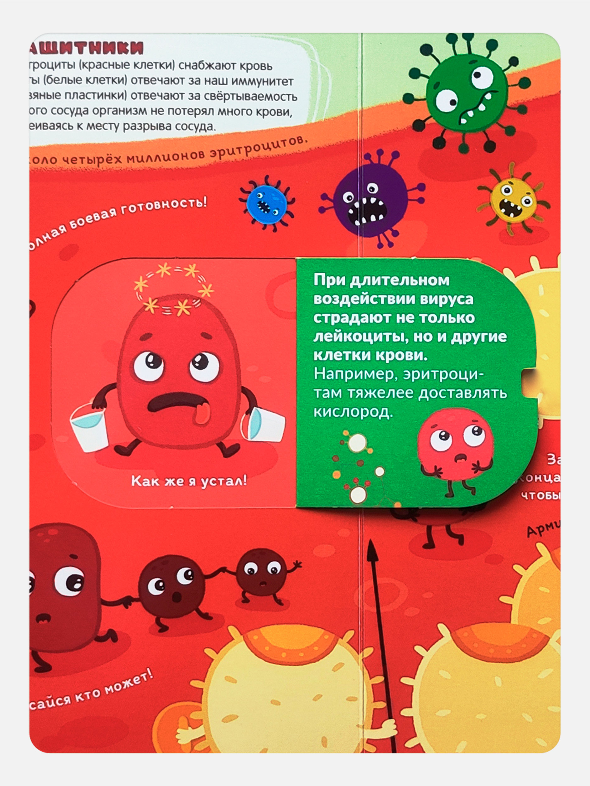 Набор книг с окошками Malamalama Вирусы и бактерии и иммунитет энциклопедии для детей - фото 21