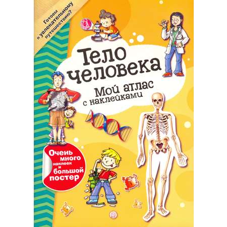 Книга Лабиринт Мой атлас с наклейками Тело человека